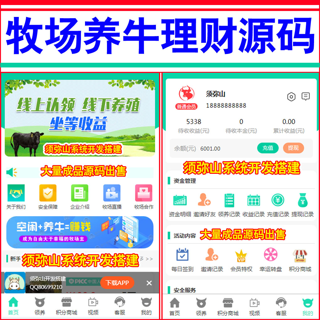 大图.jpg