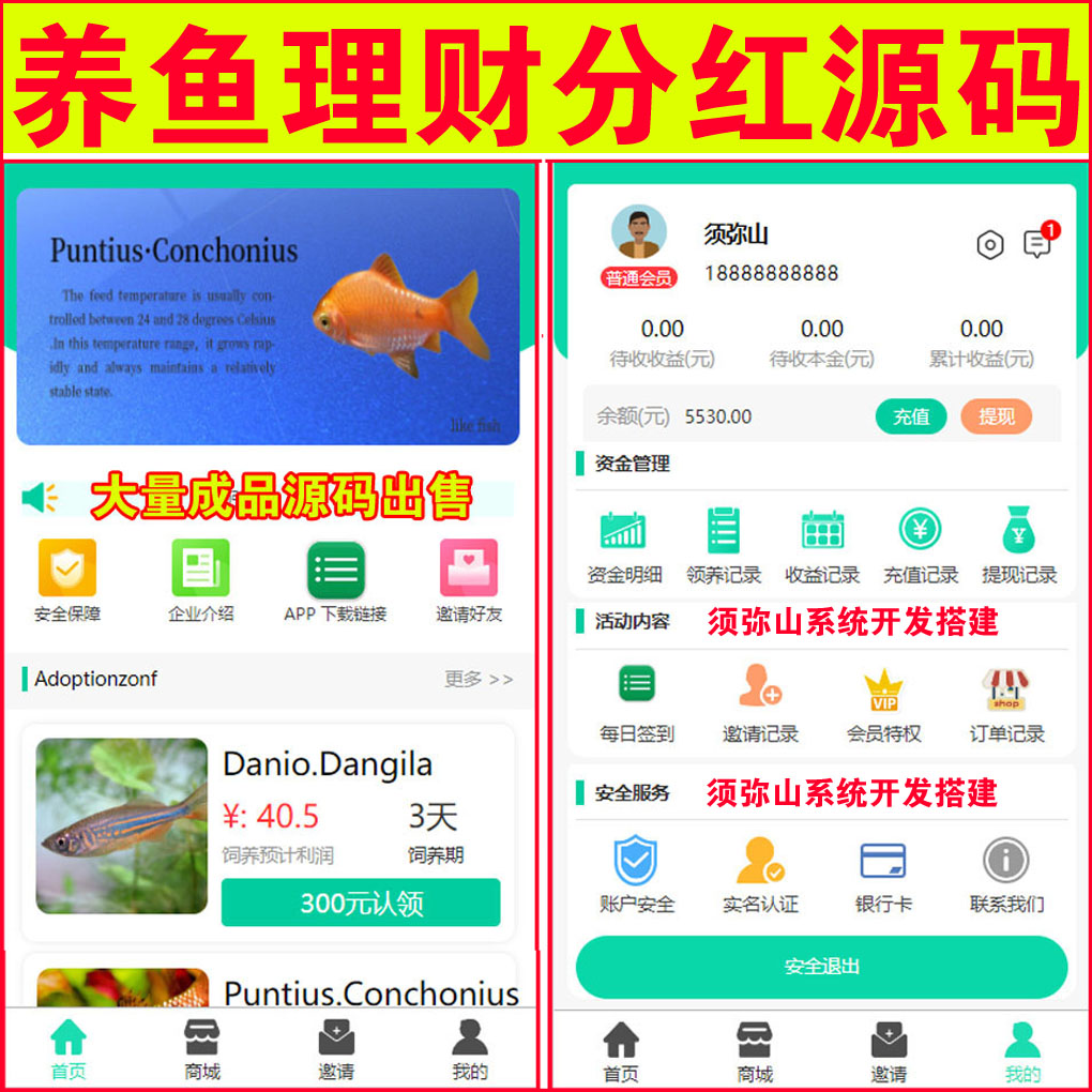 大图.JPG