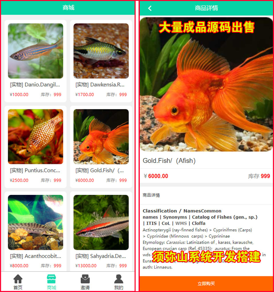 图5.JPG