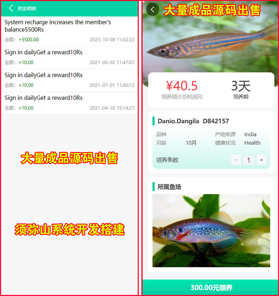 图8.JPG
