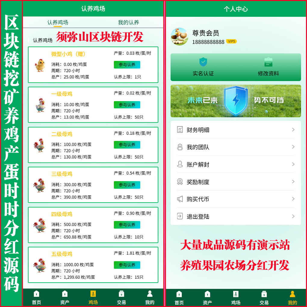 大图.JPG