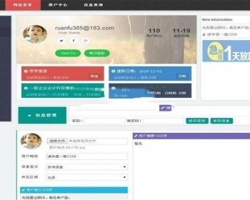最新在线财务记账系统网站源码